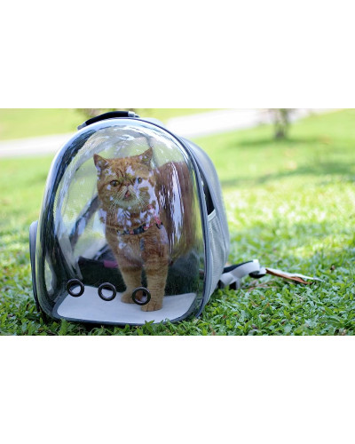 Kattenbubbel rugzak - uitbreidbare versie Kattenbubbel rugzak - uitbreidbare versie