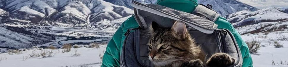 Rugzakken voor katten Rugzakken voor katten